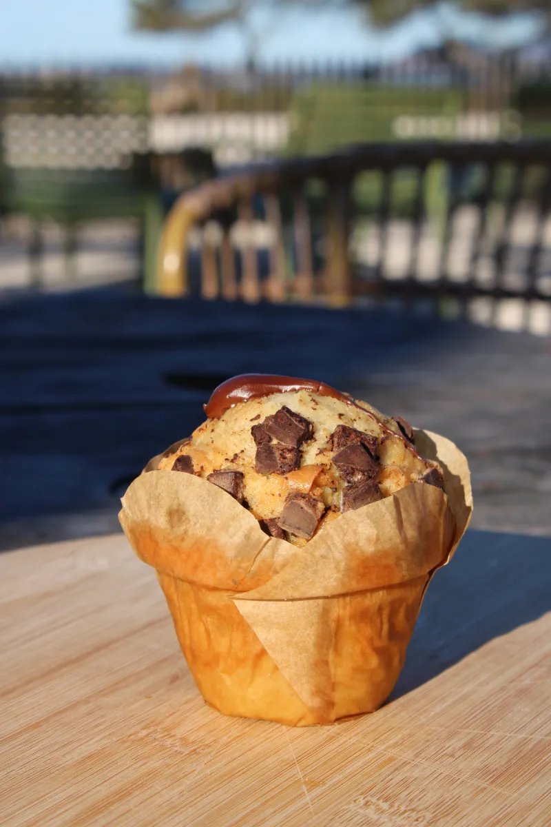 MUFFIN CHOCO